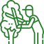 Garden Desing