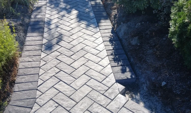 6224c703-7573-4e2c-ae78-67d069ce55ae