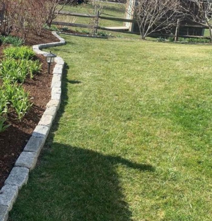 Garden desing